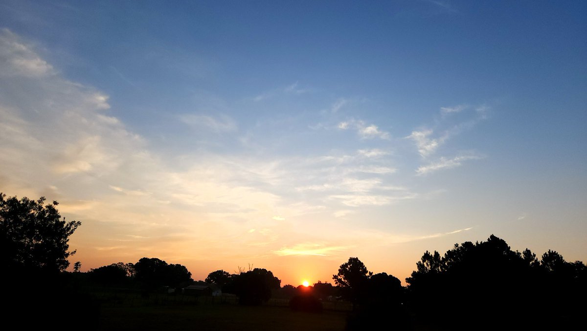 SDWAuthor's tweet photo. Good morning, Lord.
August 19, 2024, Day 232
You however are to be complete in goodness, as your Heavenly Father is complete. (Matthew 5:48 WMTH)
#goodmorning #goodmorninglord #floridasunrise #sunrise #bibleverse https://t.co/ixTPBwDnbD