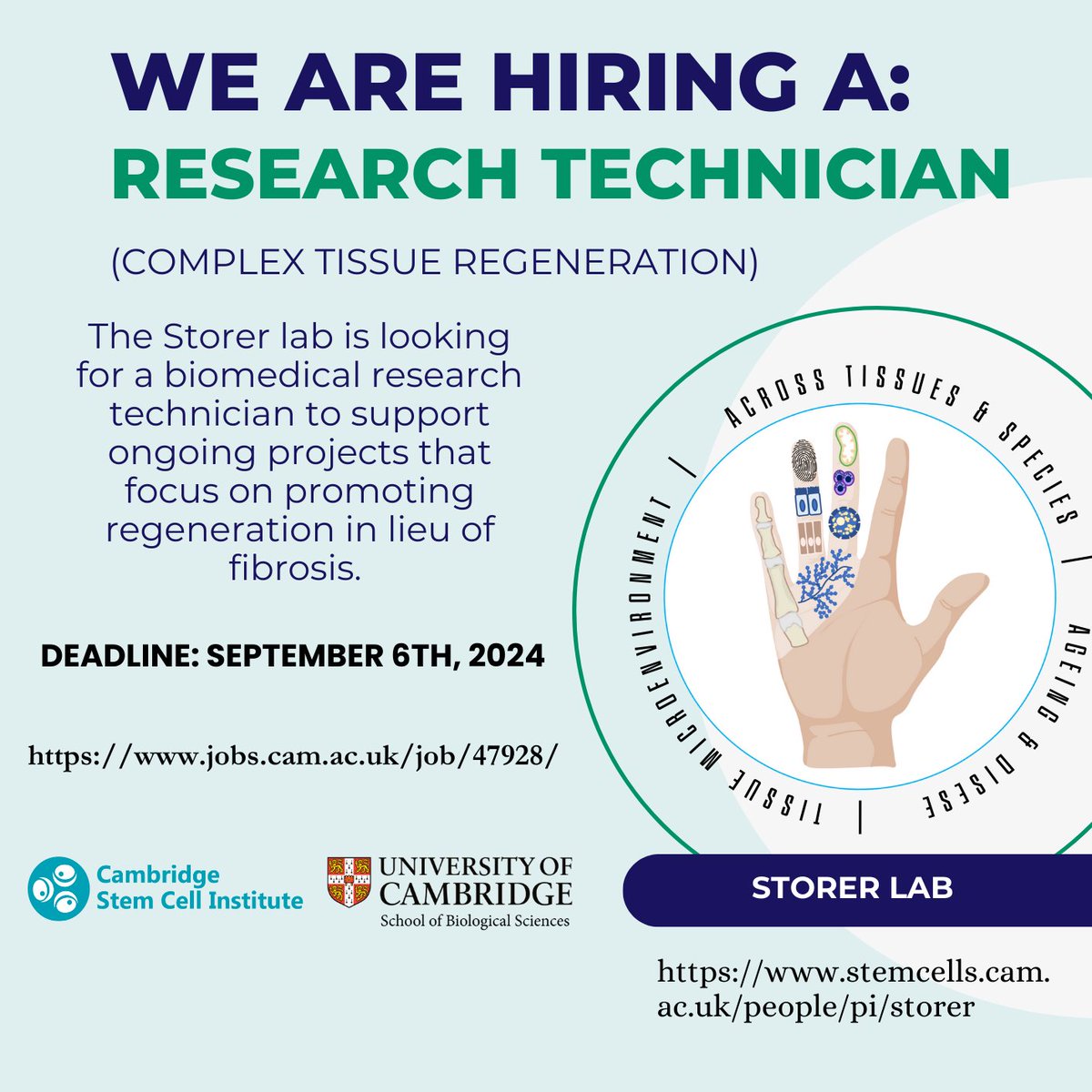 We are looking for a new biomedical research technician. Could this be you?