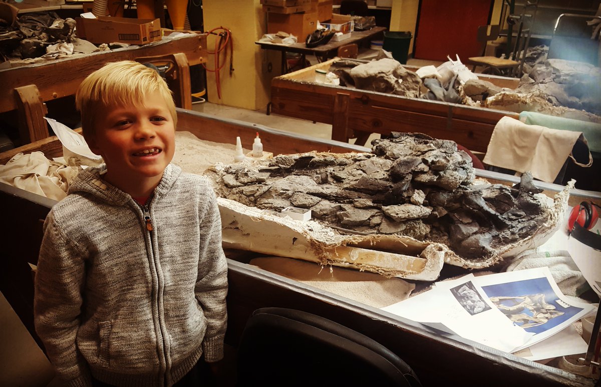 Eight Years Ago Today... 8 year old Lachlan made the discovery of a lifetime at Mygatt-Moore Q, an intact Apatosaurus skull &amp; neck! This is the 4th complete Apato skull ever found. Here, he stands beside the skull in the Paleo Lab. #dinosaurs #40YearsDigging #BLMPaleo