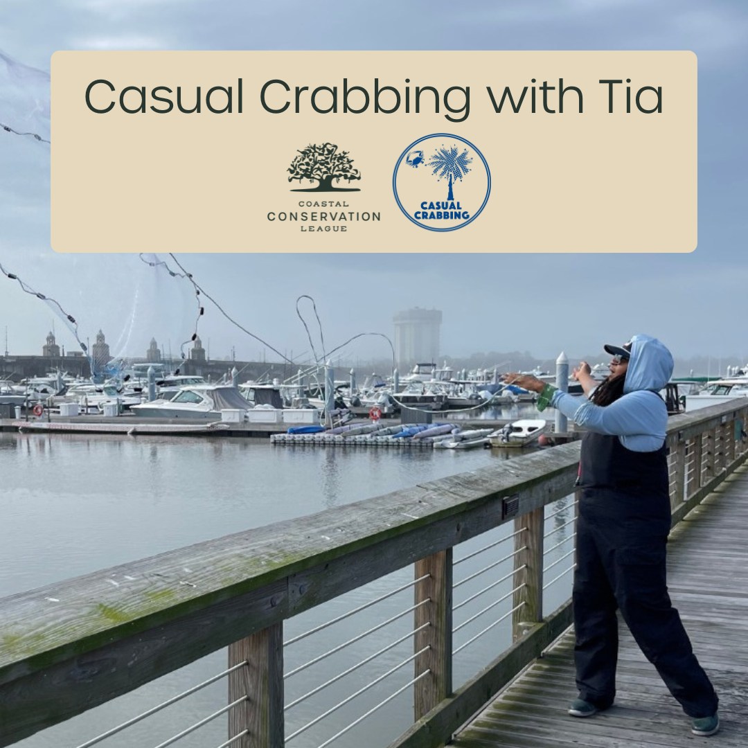 Coastal Conservation League (@scccl) on Twitter photo Join us and <a href="/CasualCrabbing/">Casual Crabbing with Tia</a> THIS WEDNESDAY!
Learn the tricks of crabbing with a Charleston native & hear about what we are doing to protect and restore wildlife, habitat and water quality.
Get your tickets and we'll see you on the dock! secure.coastalconservationleague.org/a/crabbing-wit… Join us and <a href="/CasualCrabbing/">Casual Crabbing with Tia</a> THIS WEDNESDAY!
Learn the tricks of crabbing with a Charleston native & hear about what we are doing to protect and restore wildlife, habitat and water quality.
Get your tickets and we'll see you on the dock! secure.coastalconservationleague.org/a/crabbing-wit…