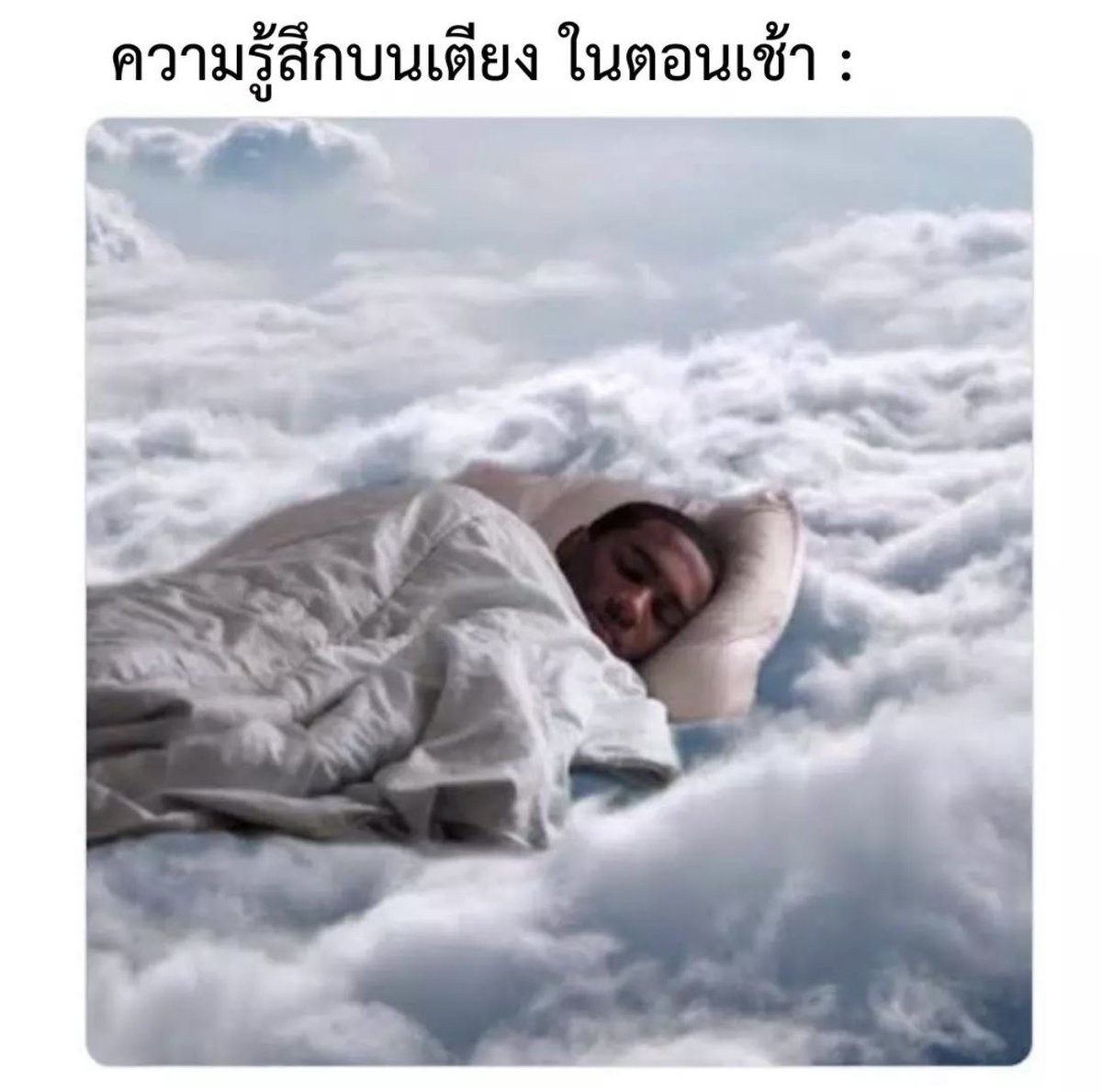 คนอยากเขียน. tweet media