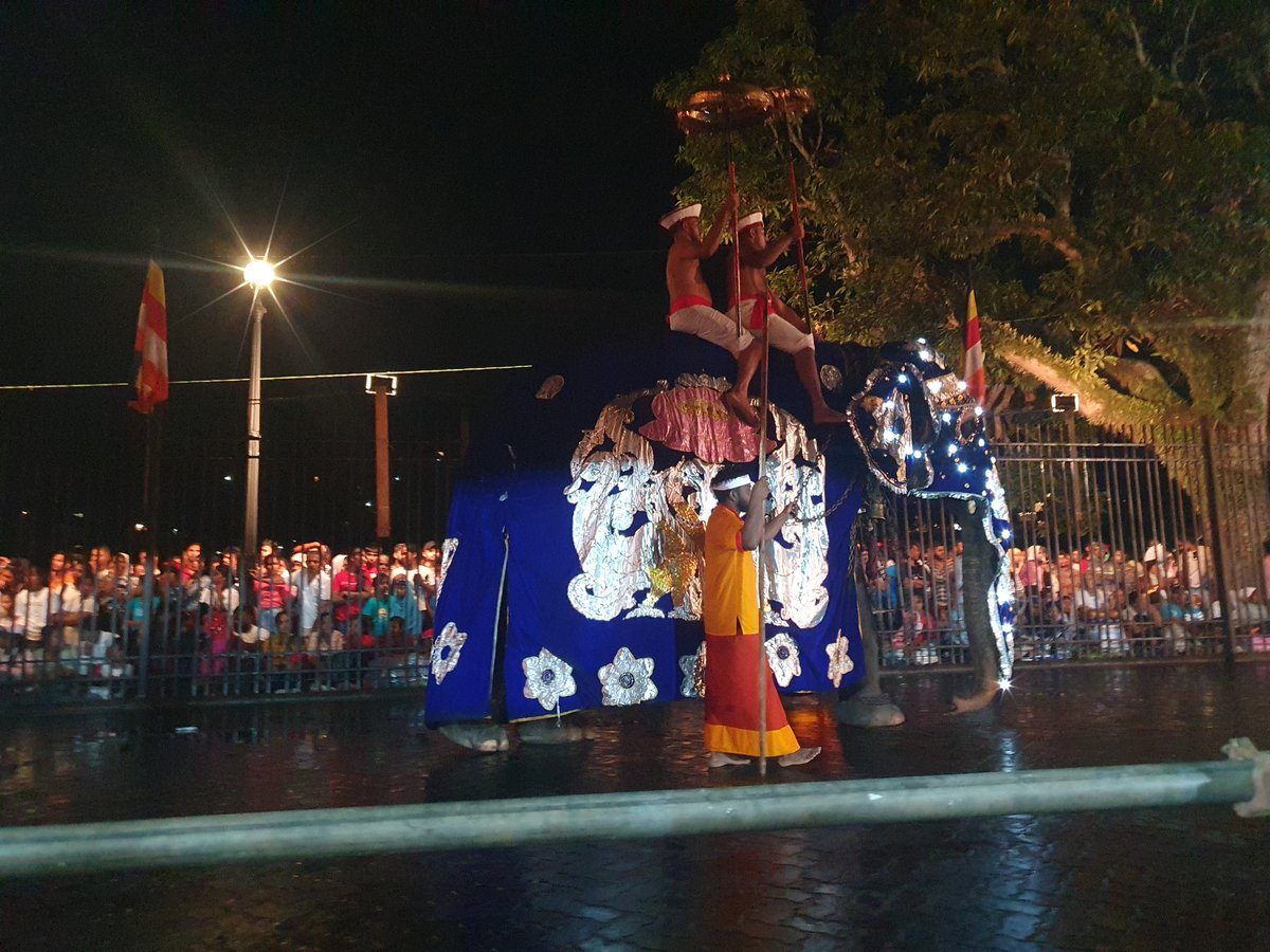 VictorH30307's tweet photo. Kandy Festival of Perahera, Sri Lanka, what a superb festivity of enlightening, colour, culture an ancestral traditions. Everyone should have the chance to visit Kandy in SriLanka . Thanks H.E @alisabrypc  @MFA_SriLanka for this breathtaking opportunity. https://t.co/90jL7iOvtT