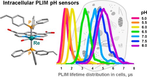 bhkenlo's tweet photo. Biocompatible Re-Containing Block Copolymers for Intracellular pH Mapping in the PLIM Mode | Inorganic Chemistry https://t.co/6GQfOum9kM Tunik and co-workers @InorgChem #rhenium #block_copolymers #pH #PLIM #polyvinylpyrrolidone #RAFT #diimine #biocompatible https://t.co/kwDpPwOzOD