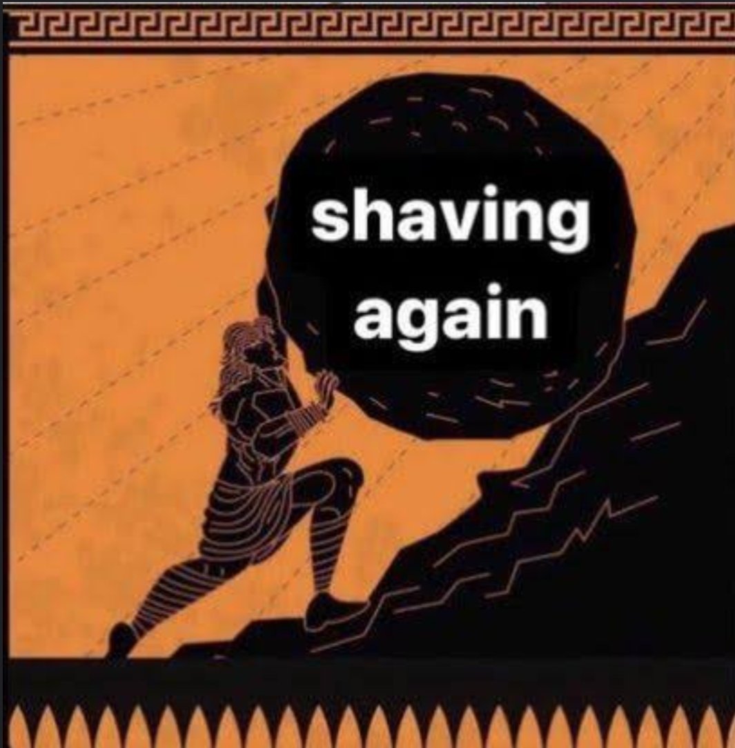 ratitabebel's tweet image. 