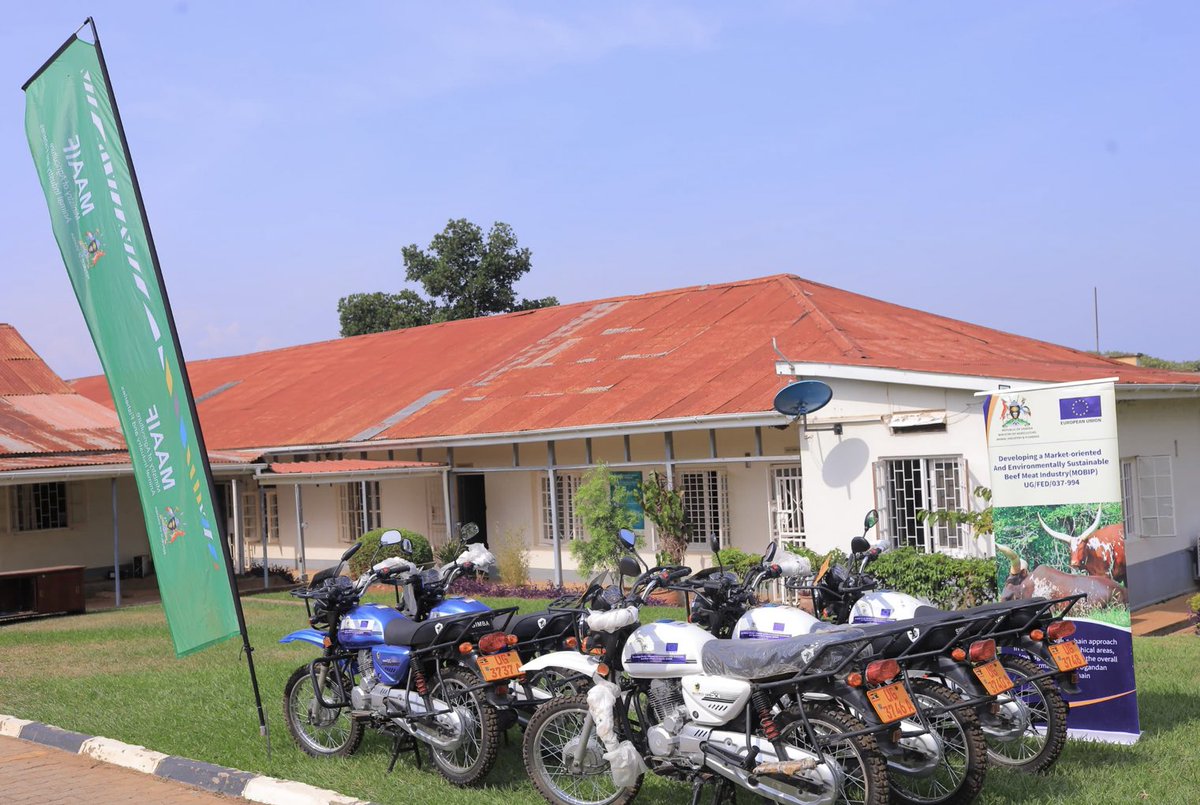 Additional support for Veterinary and Extension Service delivery: Today, Hon. <a href="/FrankTumwebazek/">Frank K Tumwebaze,MP: Isaiah 41: 11</a> the Minister for Agriculture, Animal Industry and Fisheries and MAAIF Permanent Secretary <a href="/PS_MAAIF/">Maj. Gen. (Rtd) David Kasura-Kyomukama</a> have officially handed a total of 40 motorbikes over to District representatives.