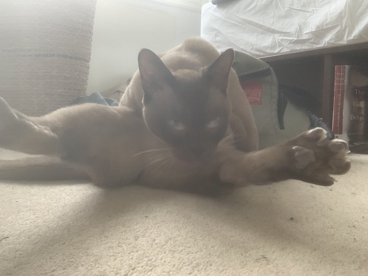 isaacdoesart's tweet photo. posture almost as bad as mine https://t.co/mkzHChOVzI