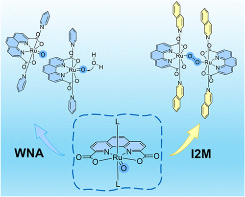 Ken Lo (@bhkenlo) on Twitter photo Intermolecular O–O Bond Formation between High-Valent Ru–oxo Species | Inorganic Chemistry pubs.acs.org/doi/10.1021/ac… Sun and co-workers <a href="/InorgChem/">Inorganic Chemistry</a> #ruthenium #oxo #OObondformation #water #oxidation #WNA #I2M #catalysis Intermolecular O–O Bond Formation between High-Valent Ru–oxo Species | Inorganic Chemistry pubs.acs.org/doi/10.1021/ac… Sun and co-workers <a href="/InorgChem/">Inorganic Chemistry</a> #ruthenium #oxo #OObondformation #water #oxidation #WNA #I2M #catalysis