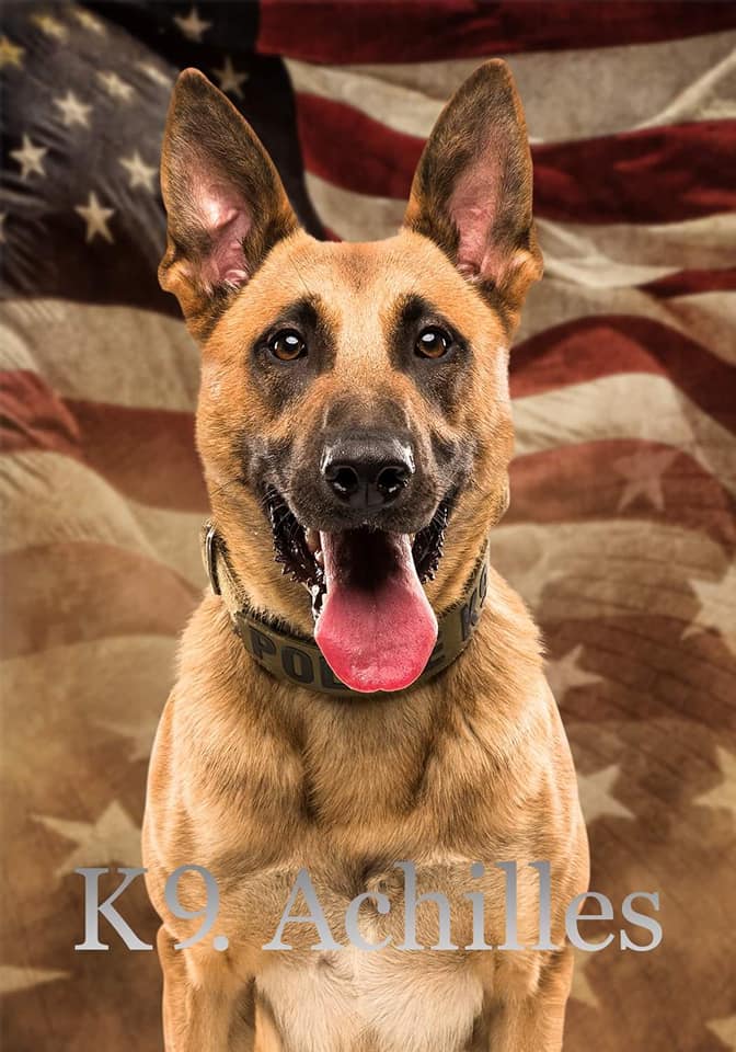The Mentor Police Department is saddened to announce the passing of K9 Officer Achilles on August 18, 2024, due to a sudden medical emergency.

Achilles began service with Mentor Police Department in April 2019 alongside his partner/handler, Patrolman Terry Wurgler. Over the past