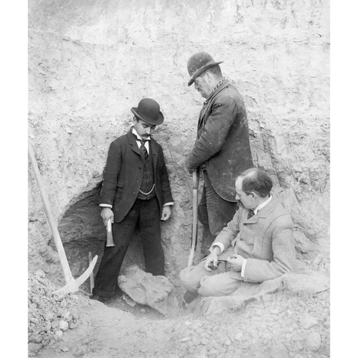 Revisiting this intriguing photo from the <a href="/SedgwickMuseum/">The Sedgwick Museum</a> archives for #NationalPhotographyDay
Excavation of a fossil #rhino skull at
Barrington Quarry, Cambs, 1901, including quarryman Arthur Hardman.
More here:
museums.cam.ac.uk/magic/barringt…