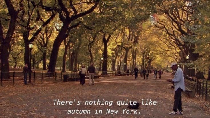 so ready for autumn 🍂