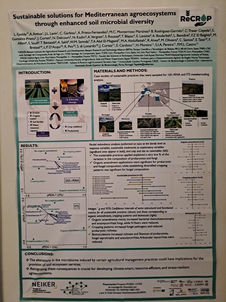 SoilMicrobialEcology (@soilmicroecol) on Twitter photo Excited to be at #ISME19 presenting <a href="/PrimaRecrop/">ReCrop Prima</a> integrated results on #SoilMicrobialDiversity in 12 case studies of #SustainableAgriculturalPractices around the Mediterranean Excited to be at #ISME19 presenting <a href="/PrimaRecrop/">ReCrop Prima</a> integrated results on #SoilMicrobialDiversity in 12 case studies of #SustainableAgriculturalPractices around the Mediterranean