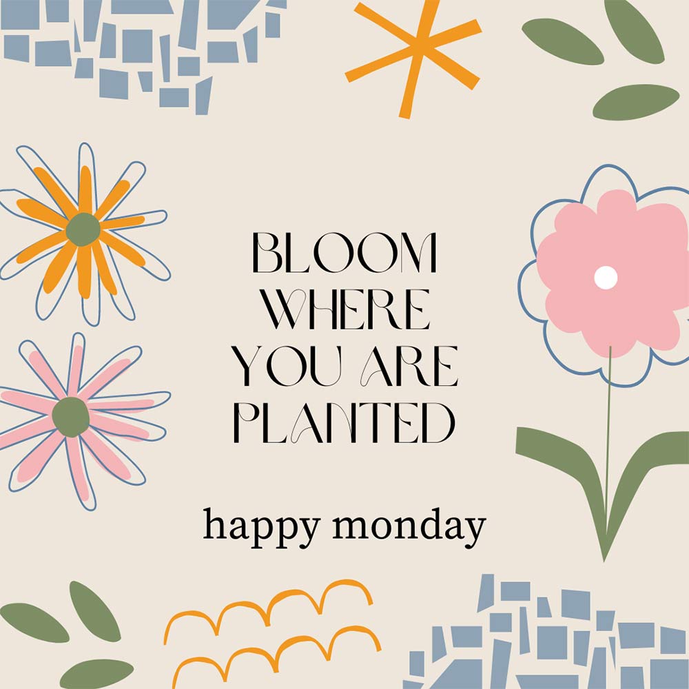 Makeup and Beauty Blog Monday Poll, Vol. 844 dlvr.it/TC69wv