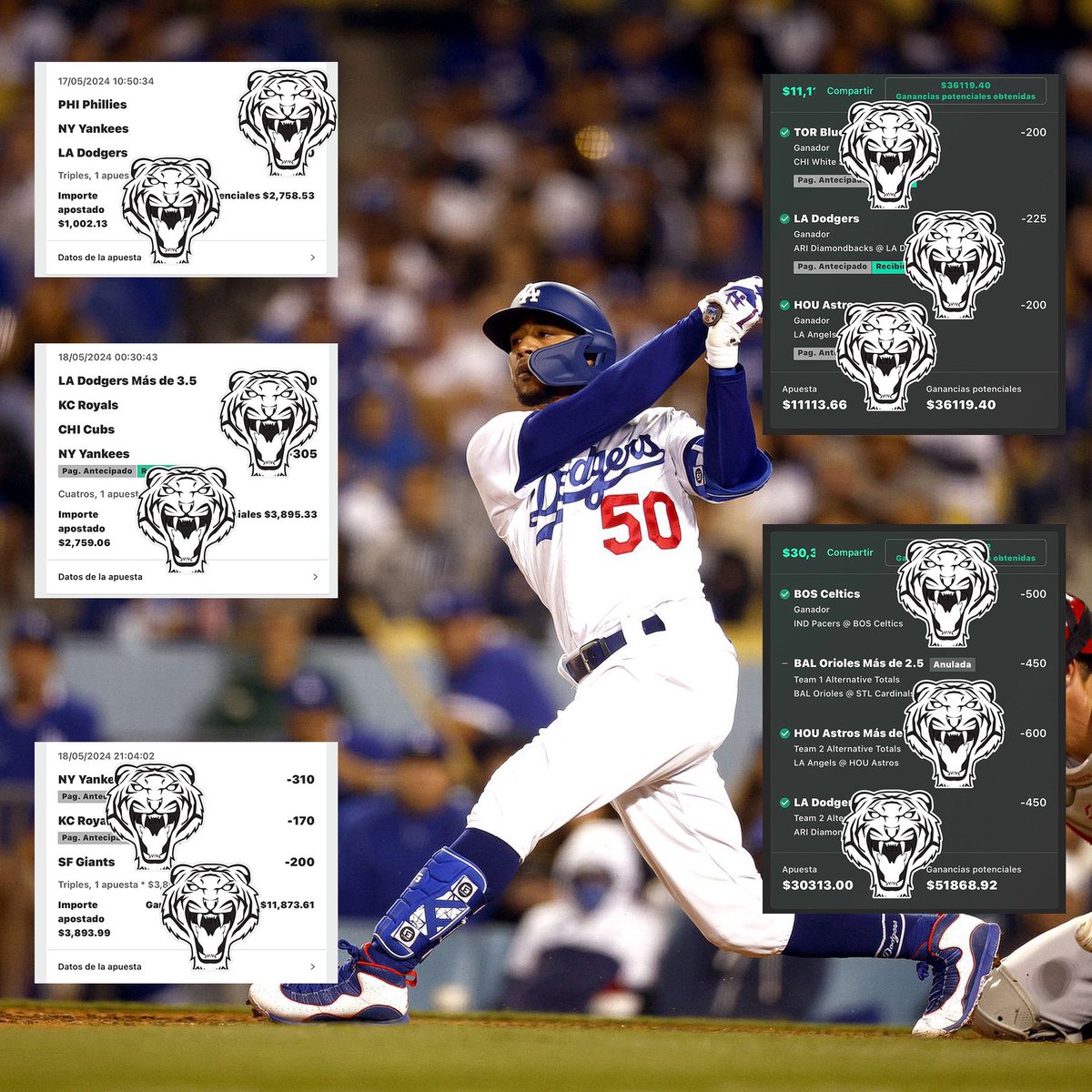 Tigerpicks33💰 tweet media