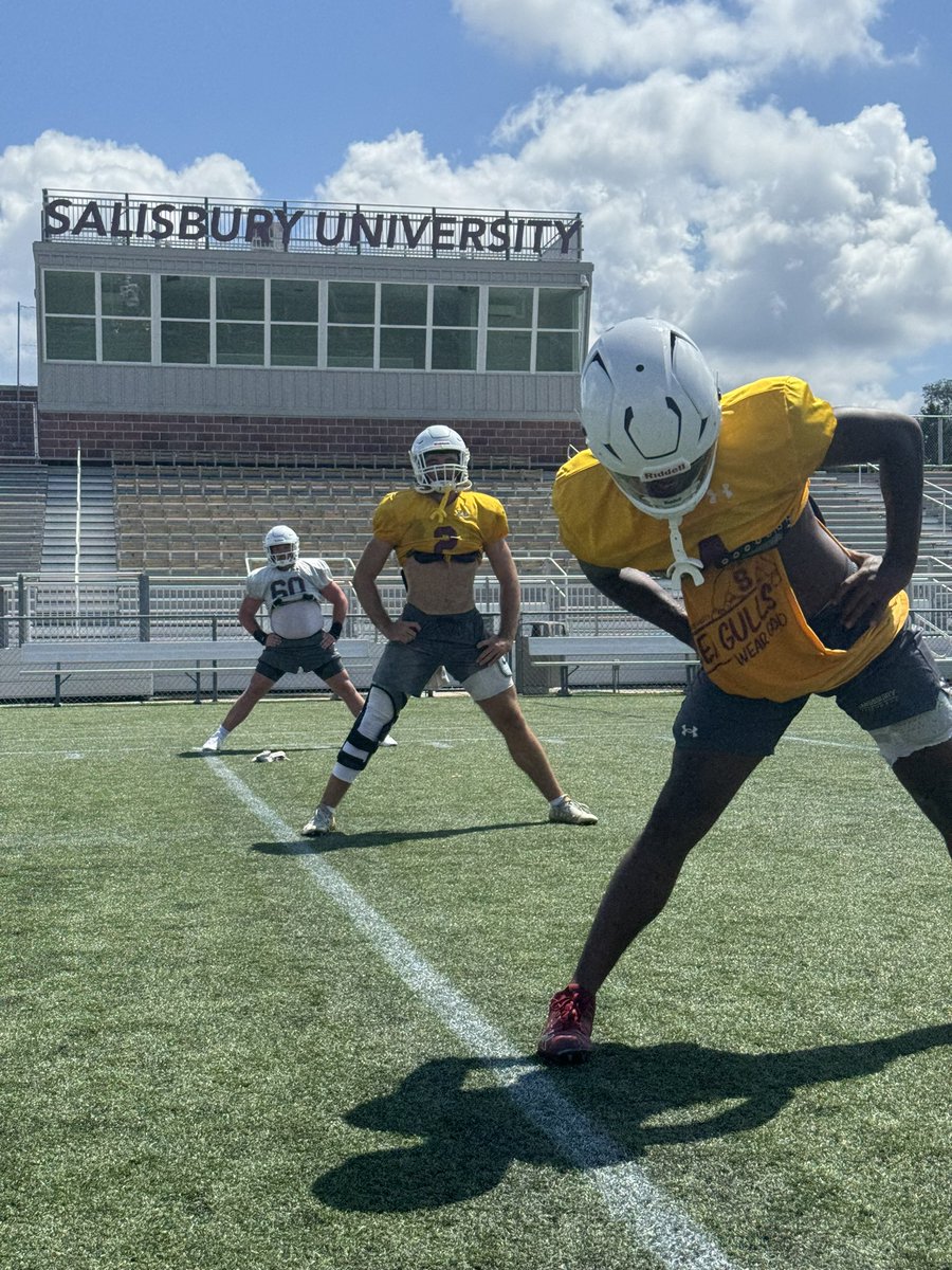Day 5️⃣

Grinding!!!

#GoGulls #GoldPride