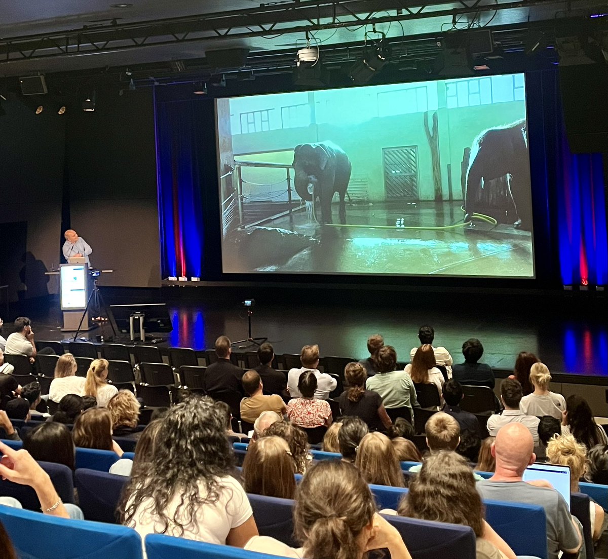 MPI for Neurobiology of Behavior – caesar (@mpinb_outreach) on Twitter photo Large brain #neuroscience in 🐘. Enjoying a fantastic keynote lecture by <a href="/BrechtLab/">Brecht Lab</a> at #BonnBrain!
<a href="/IbehaveNetwork/">iBehave Network</a> <a href="/UniklinikBonn/">Uniklinik Bonn</a> @DZNE_en Large brain #neuroscience in 🐘. Enjoying a fantastic keynote lecture by <a href="/BrechtLab/">Brecht Lab</a> at #BonnBrain!
<a href="/IbehaveNetwork/">iBehave Network</a> <a href="/UniklinikBonn/">Uniklinik Bonn</a> @DZNE_en