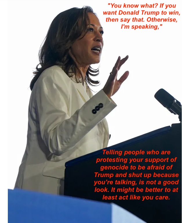 Independents20's tweet photo. Fear is the order of the day for both Parties. Trump and Harris got nothing decent to offer but fear of the other. The US doesn't have a democratic process they have a process that legitimizes the rule of the oligarchs. https://t.co/KNJGhAMccF