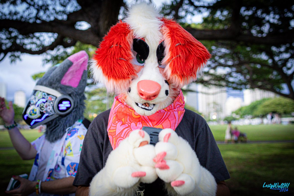 LostyWolfHI's tweet photo. DATE: 2024-07-28
EVENT: Magic Island Furry Hangout Pt.5
Lovely Tags:
#Outdoors #Oahu #Day #Fursuit #808FursHI #808Furs #808FurryEvents https://t.co/r7xfuwuyqI
