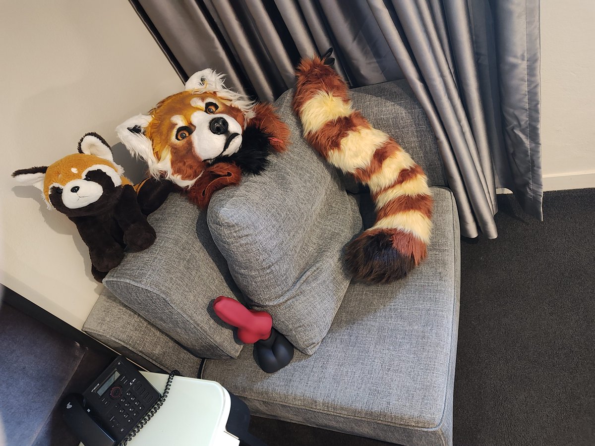 FriskyRedPanda's tweet photo. Travel essentials 😍 https://t.co/9prwRd95X2
