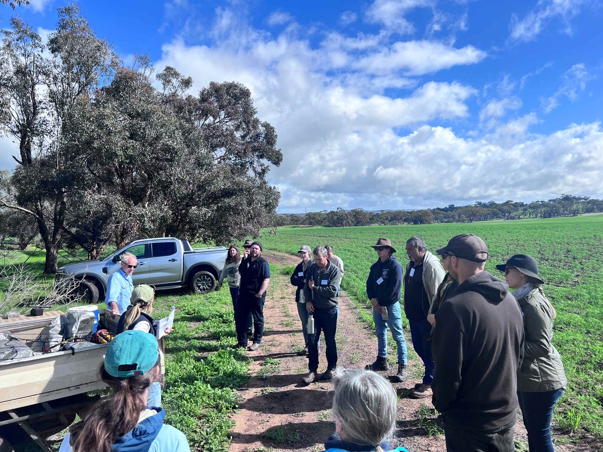 Rehydrating your farm landscape - mailchi.mp/wheatbeltnrm/o…