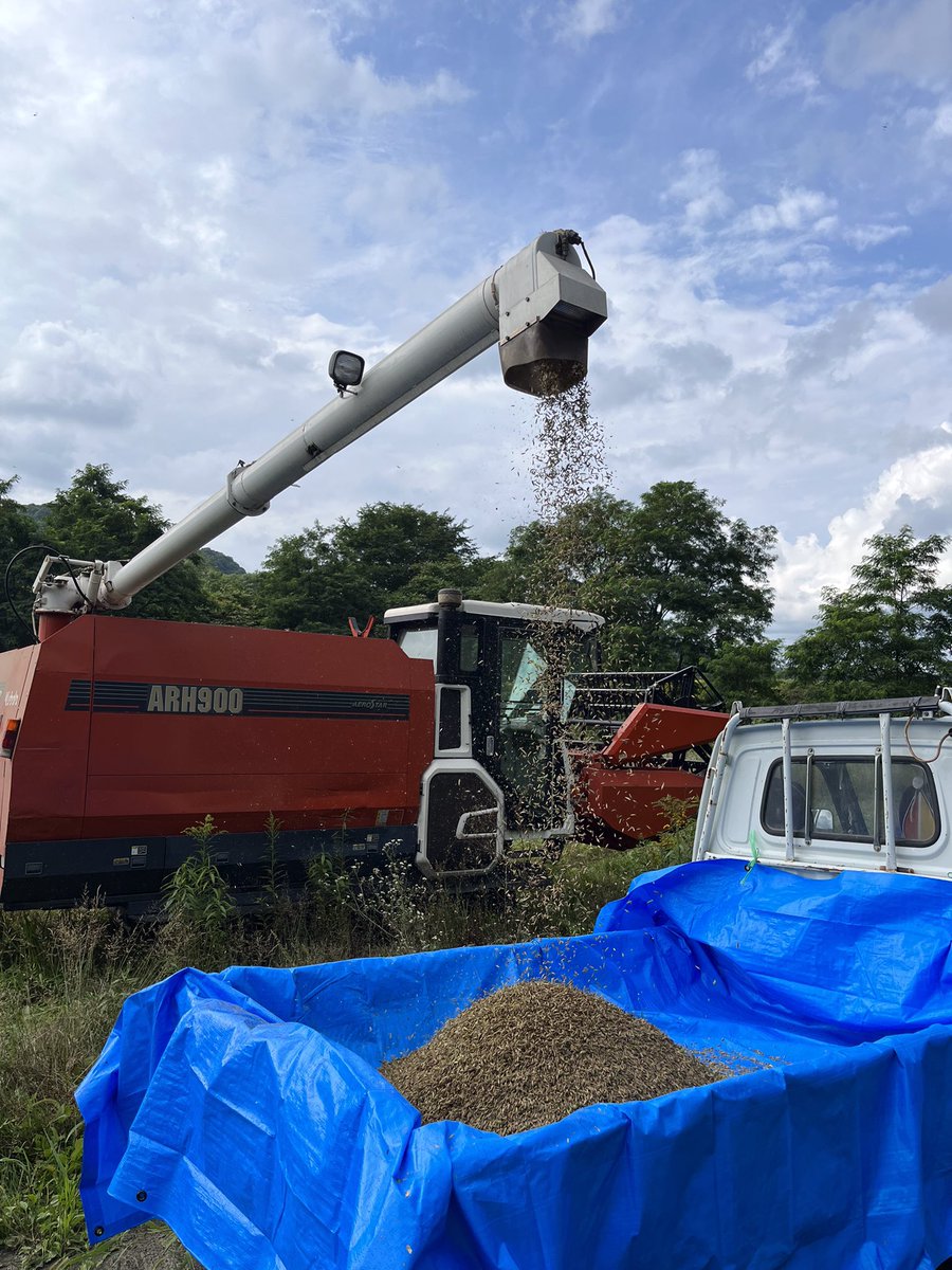 オジファーム ~アスパラガス~ tweet media