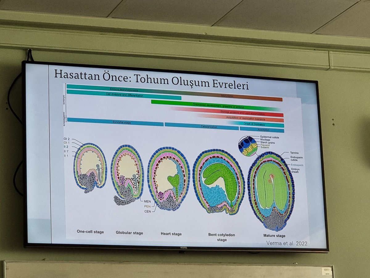 QureshimoinT's tweet photo. Highlights from the first day of our Seed Moisture Measurement workshop, led by Assoc. Prof. Engin Yol. PhD candidate Kürşat Karaman, gave a thought-provoking presentation and we were privileged to have distinguished visitors from Iran. #AkdenizUniversity #SeedMoistureMeasurement https://t.co/BwpA79PN3J