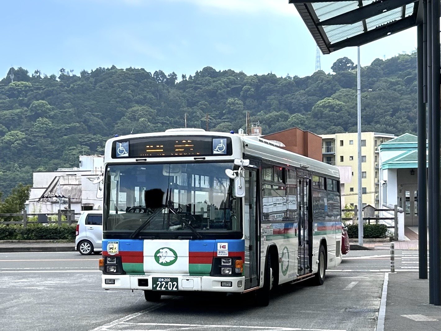 ハスの種　1000粒　Azuma ハスの種 1000粒 Azuma様専用