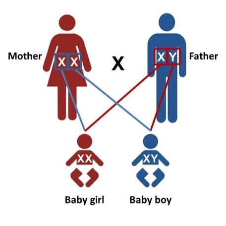 Nočem bit pameten - bom pa za vsak slučaj to pustil tukaj....