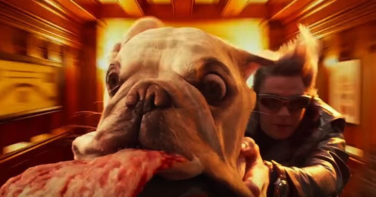 I_stole_timee's tweet photo. " I miss this little guy."

#XMenApocalypse 
#PeterMaximoff 
#PizzaDog 
#MutantandProud 
#Quicksilver https://t.co/EbaZOq2CfW