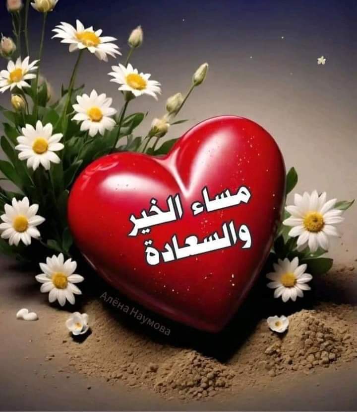 مساء الخير والسعادة 🌷🎋💕🌹🎋🌷💕