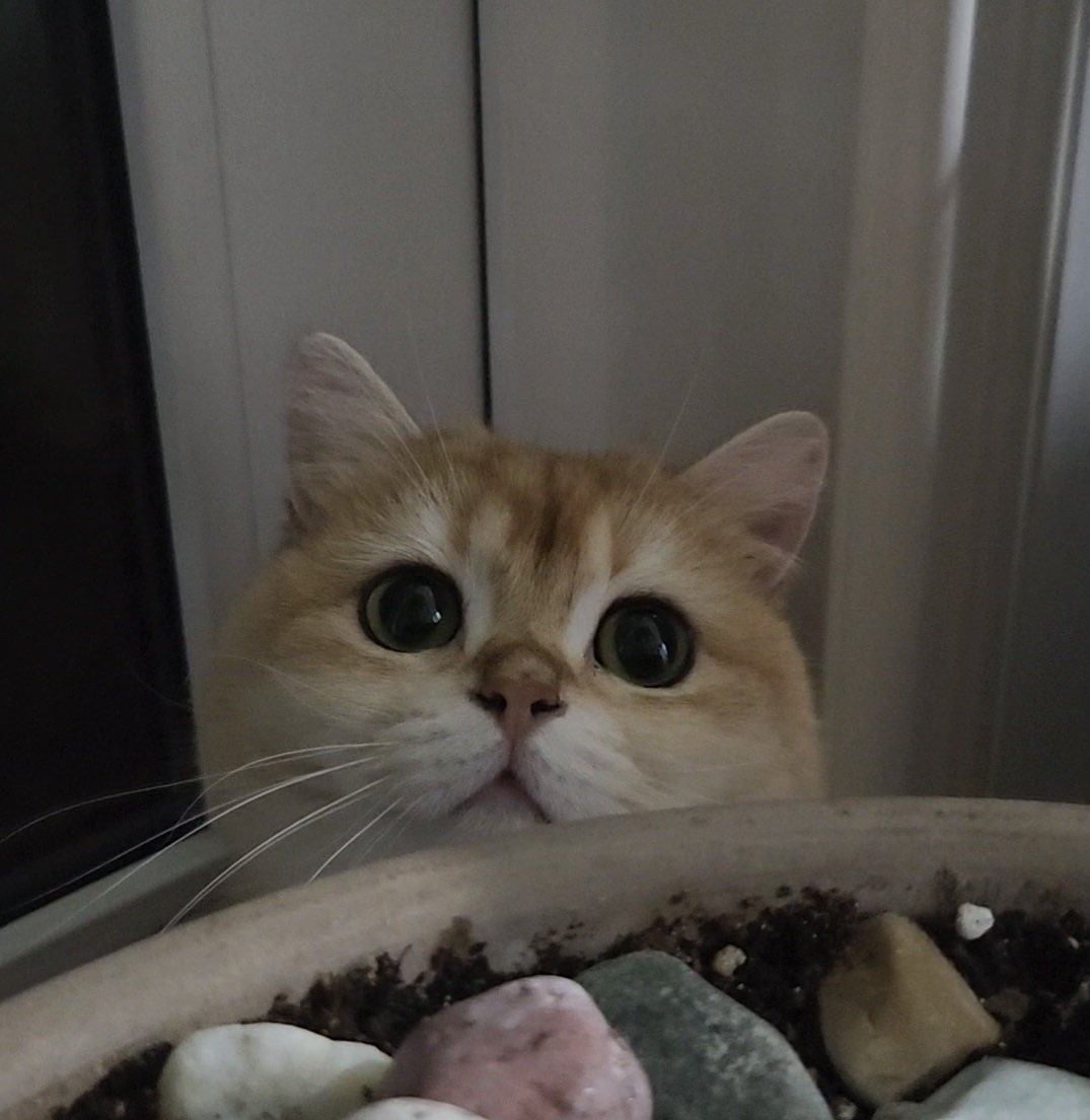 peyz05's tweet image. 유미 폼 미쳤다