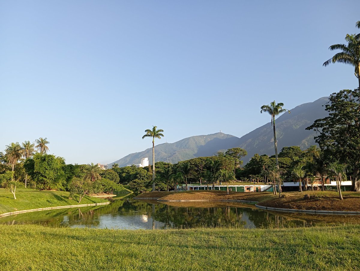 Bettmar17's tweet photo. Lunes en el hermoso Parque del Este https://t.co/L6QlksVjS0