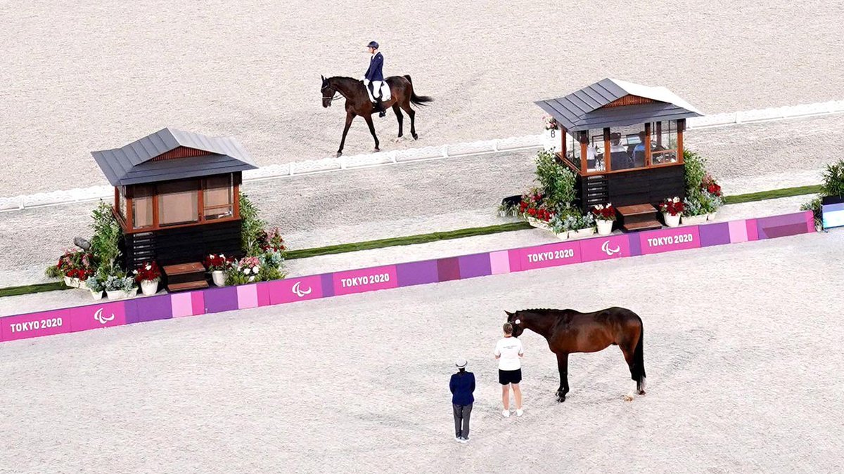 Unsung heroes: The role of ‘friendly horses’ at the Paris Paralympics trib.al/bjShZyI