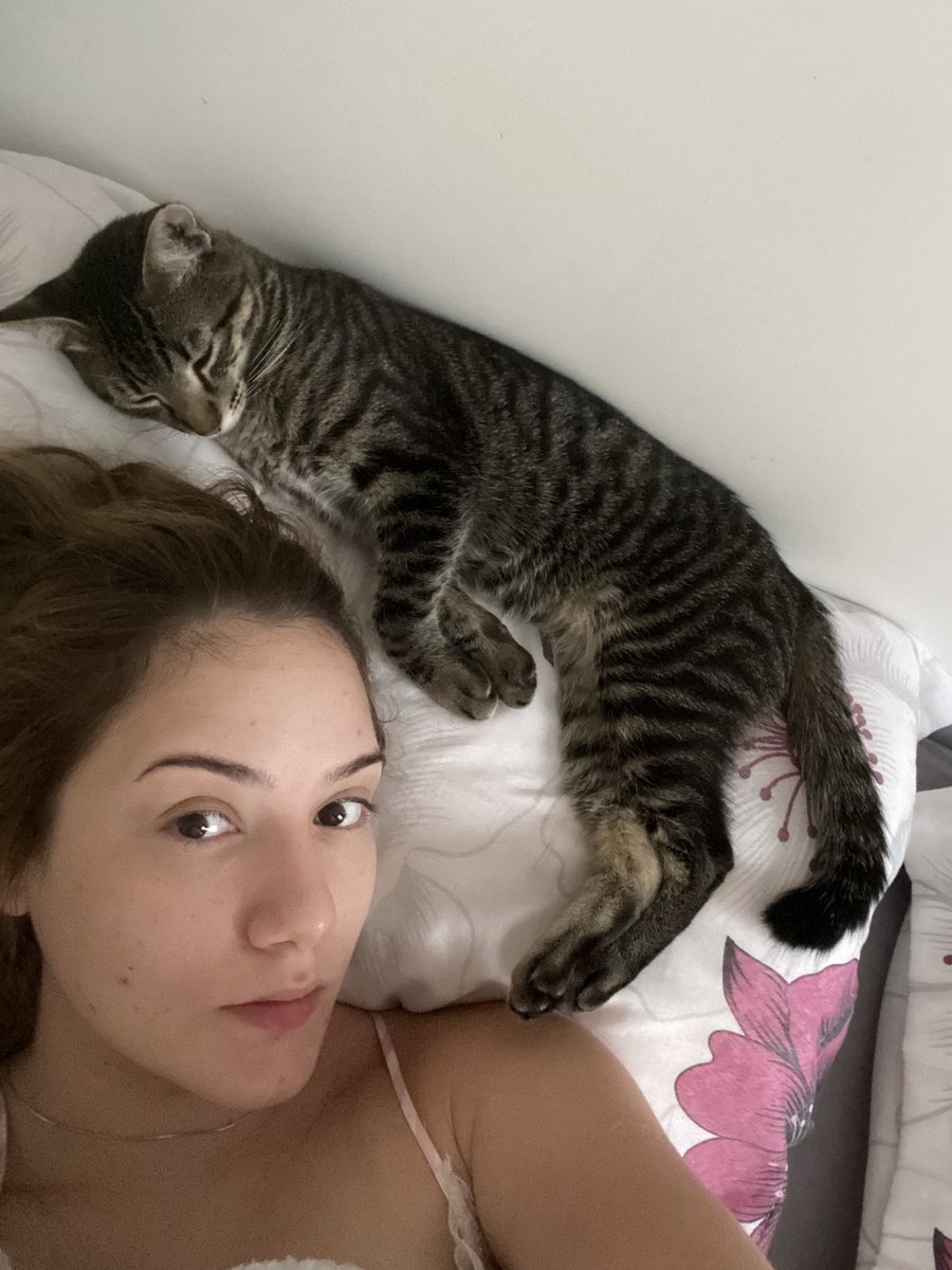eu sempre tive uma enxaqueca horrível q me levava à beira da loucura e assim… era rotineiro, todos os dias eu ingeria uma cacetada de remédio p tentar amenizar. há 2 semanasmeu gato q o nome eh gato tá dormindo em cima da minha cabeça e eu simplesmente… não tenho mais dores