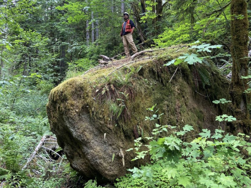 LEIEngineering's tweet image. Transforming dreams into reality, one structure at a time. Civil engineering isn't just about building; it's about shaping the future. 🌍🏗️ #EngineeringExcellence #BuildingTheFuture