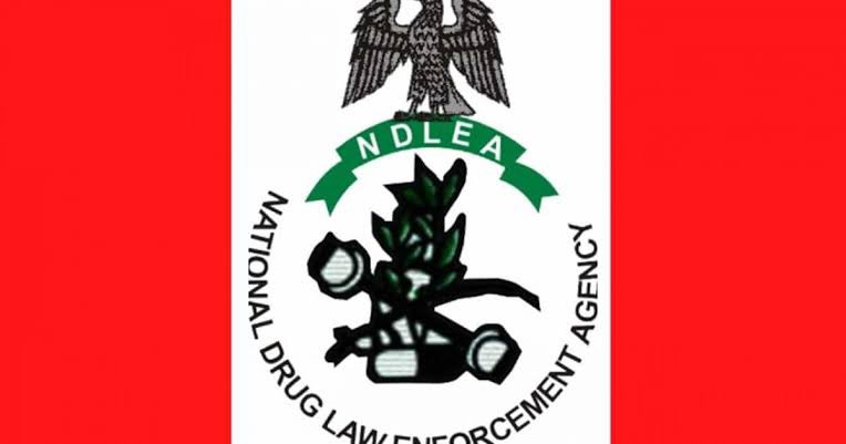 jo_comms's tweet image. TRACKING AFRICA

NDLEA Pushes Drug Screening in Schools

NDLEA Kwara Commander, Hajia Fatima Abiola-Popoola, urges Nigerian universities to enforce mandatory drug tests for all admission seekers and newly admitted students.

#NDLEA #DrugTest #UniversityAdmission #Jocomms