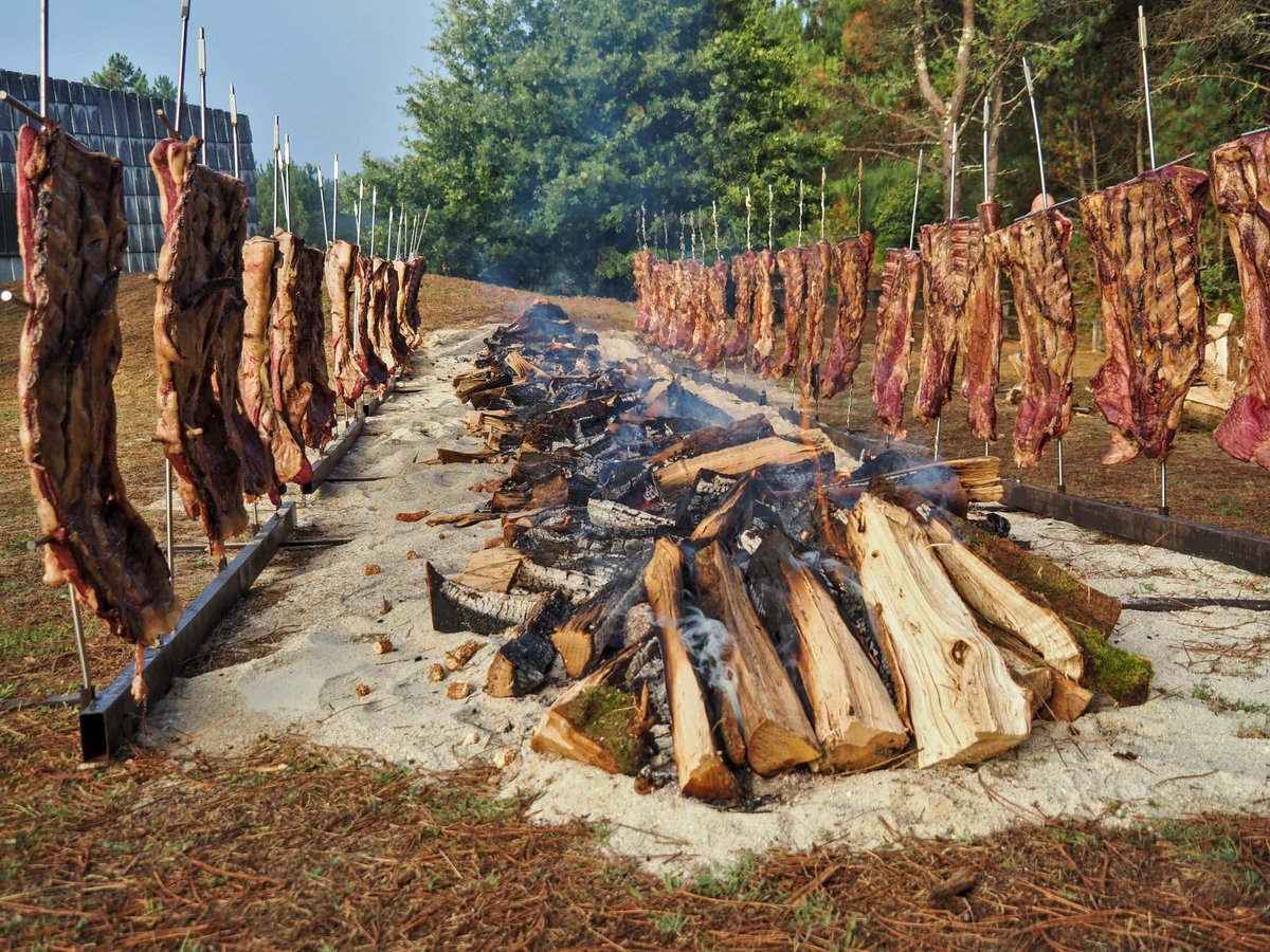 PAAR Campo Lameiro tweet media