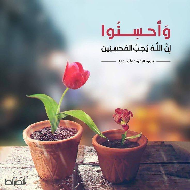 قال الله تعالي :﴿يوْمئذ يصْدرُ الناسُ أشْتاتًا لِيُروْا أعْمالهُمْ﴾🌿

"حتماً سيكون هناك لقاء  بينك وبين أعمالك
فاختر أعمالاً يَسُرَك لقاءها " 🥰🧡