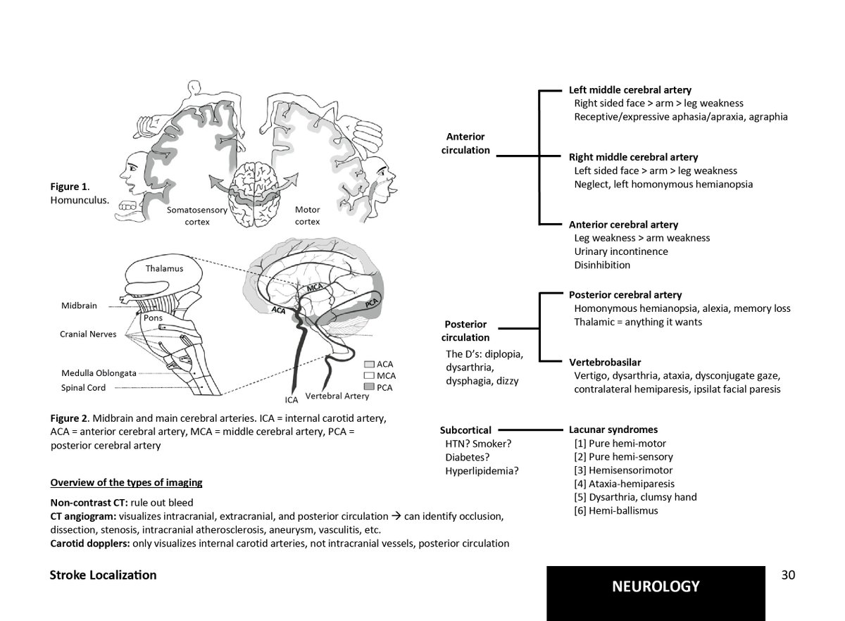 Michael Fralick (@fralickmike) on Twitter photo First up is the stroke localization one-pager. Unless you are a neurologist, it sure is hard to keep neuroanatomy straight, especially while on-call at 2AM. Thank you to <a href="/PatriciaOl48130/">Patricia Olar</a> who drafted these incredible images and Dr <a href="/amyyu_md/">Amy Yu, MD</a> for her edits and feedback. 2/6 First up is the stroke localization one-pager. Unless you are a neurologist, it sure is hard to keep neuroanatomy straight, especially while on-call at 2AM. Thank you to <a href="/PatriciaOl48130/">Patricia Olar</a> who drafted these incredible images and Dr <a href="/amyyu_md/">Amy Yu, MD</a> for her edits and feedback. 2/6