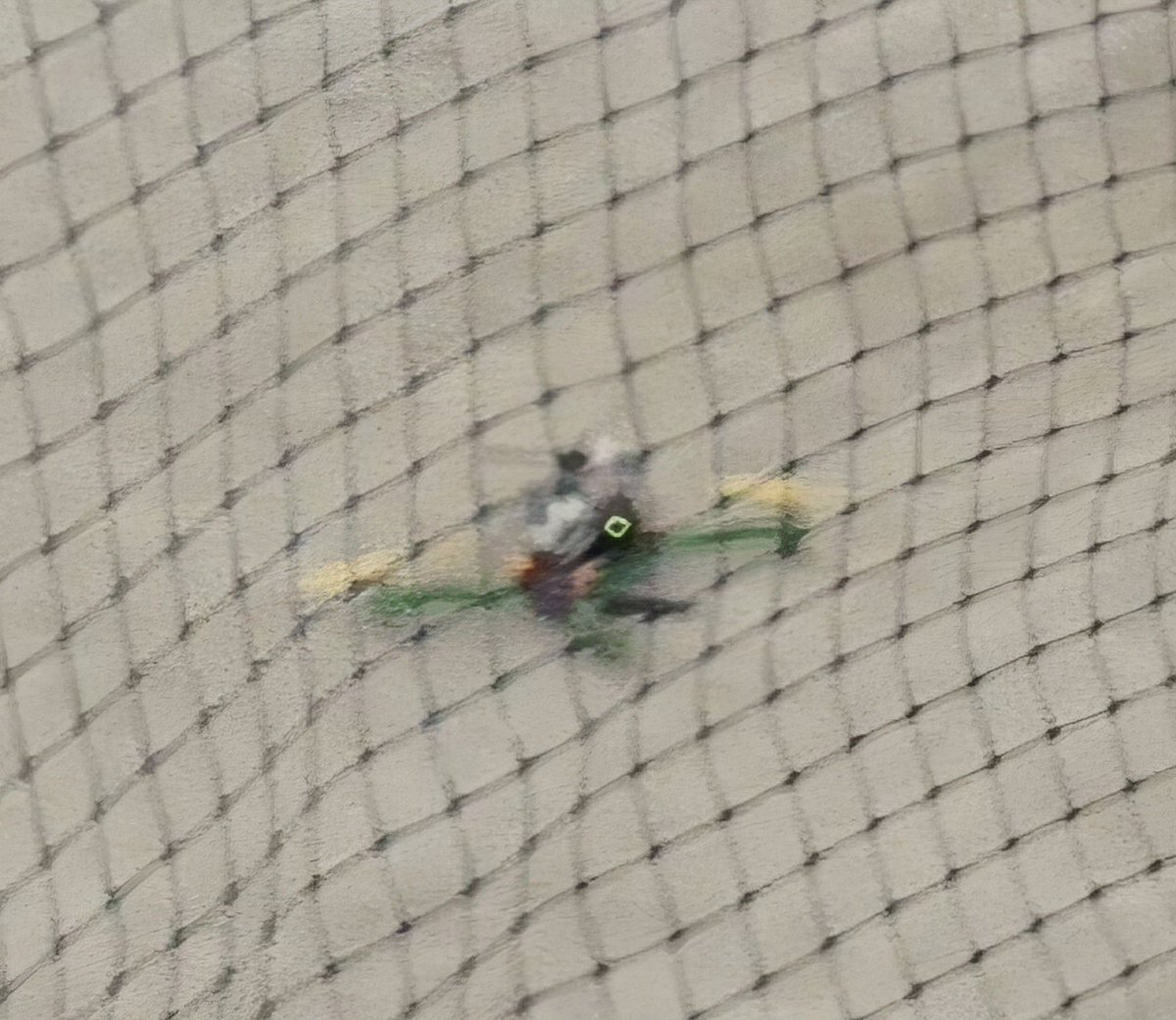 Comdt 2 FTS tweet media