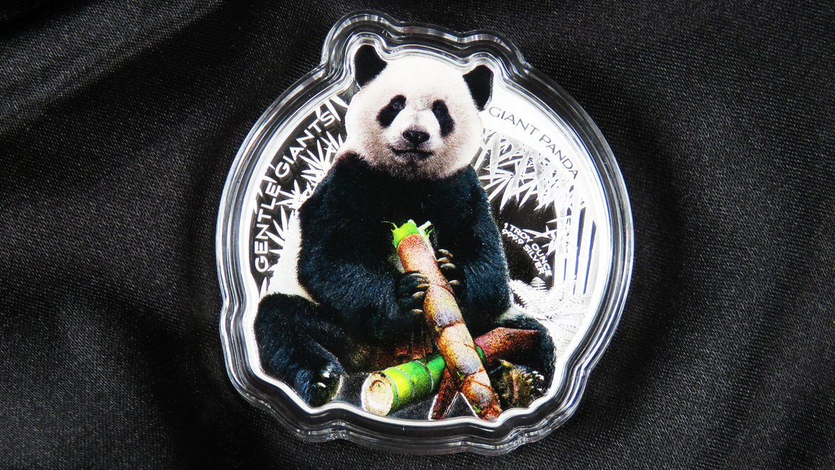 ModernCoinMart's tweet image. Capture the charm of gentle giants! 🐼✨

Add the unique 2022 Proof $2 Solomon Islands Gentle Giants Panda Shaped Colorized 1 oz silver coin to your collection!

zurl.co/C7ma 

#moderncoinmart #pandacoin #silverstacking