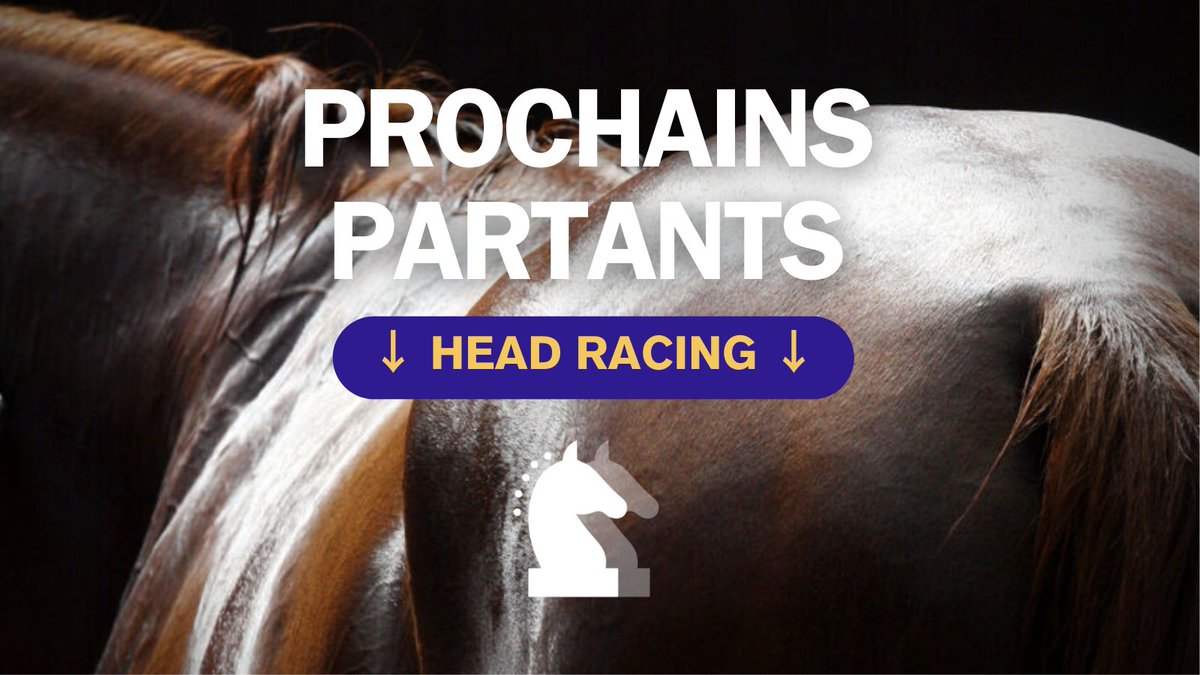 HeadRacing1's tweet image. #Runners #partants
🗓️ 21/08/24
📍 Dieppe / PRIX DES ARCADES (Inédits)
🐴 TIFFANY BLUE #BluePoint
👥 Infinity Nine Horses, Ecurie C. Marzocco, Gousserie Racing, S. Weston, Ecurie PDL, A. Brun
🏇 Aurélien Lemaître @lemaitre60LA
🌱 Haspel d’Haspel
Vidéo : x.com/HeadRacing1/st…