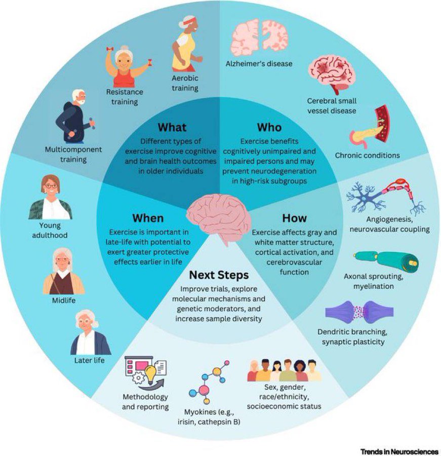 virginiog's tweet photo. Sobre la importancia del ejercicio físico para asegurar  un mejor rendimiento cognitivo, mejor estado de ánimo y preservar nuestras funciones cognitivas frente la enfermedad https://t.co/g8U4VIq919