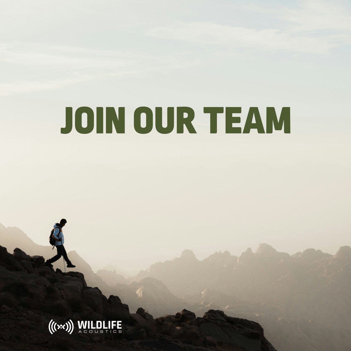 Join our sales team, we're #hiring a Sales Account Manager!

Learn more and apply at loom.ly/RLB97Qs