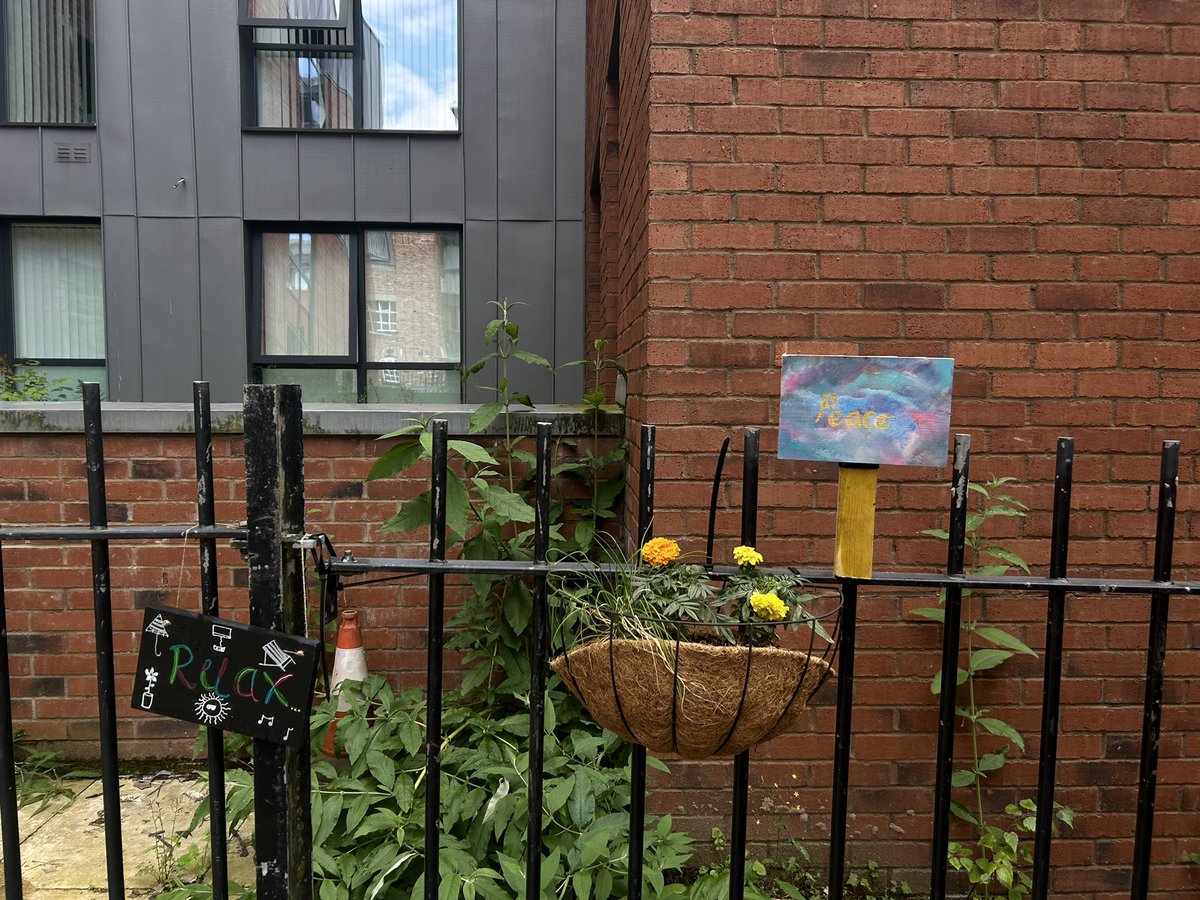 Thank you to the Evolve team for brightening up our garden area! 🪴

#likethewayyouthink #affirmations