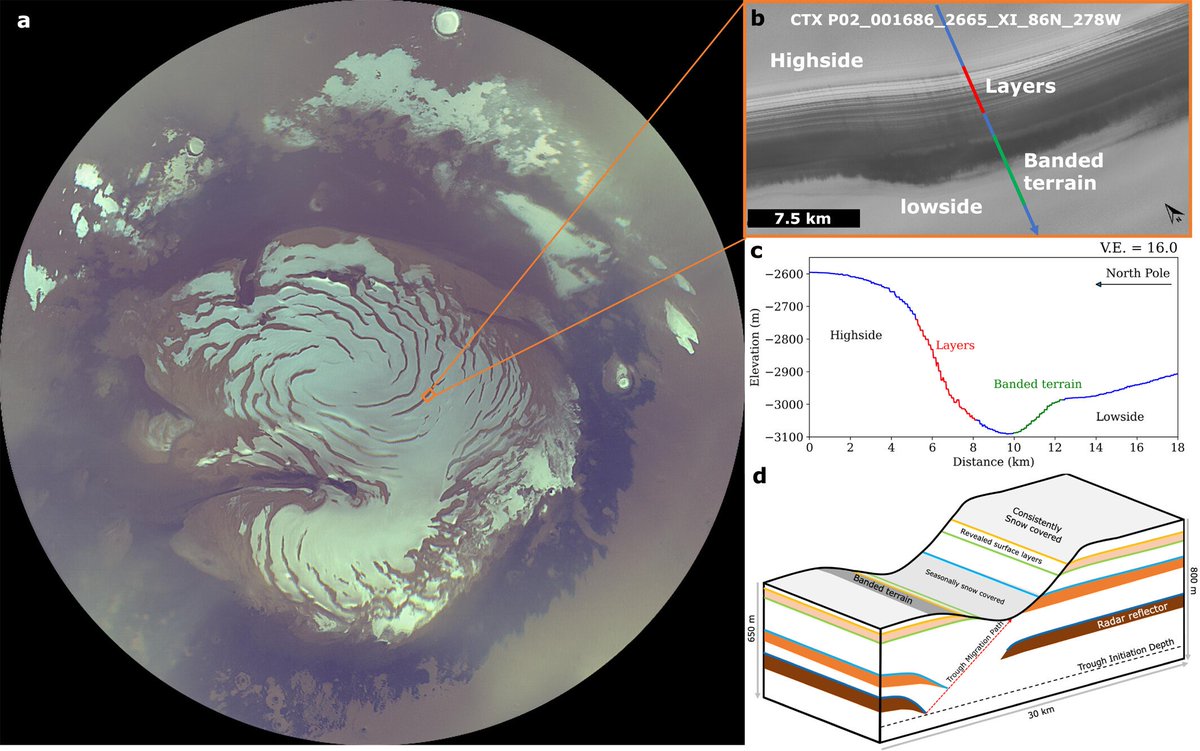 Dr. Ali Bramson (@alibramson) on Twitter photo 🚨 New paper alert 🚨
<a href="/KrisLaferriere/">Kris Laferriere</a> of <a href="/PurdueEAPS/">Purdue EAPS</a> surveyed the troughs at Mars' north pole, mapping the entire 3D radar volume for subsurface records of troughs' past locations! The migration of these features informs us of ice mass balance over time.
doi.org/10.1029/2023JE… 🚨 New paper alert 🚨
<a href="/KrisLaferriere/">Kris Laferriere</a> of <a href="/PurdueEAPS/">Purdue EAPS</a> surveyed the troughs at Mars' north pole, mapping the entire 3D radar volume for subsurface records of troughs' past locations! The migration of these features informs us of ice mass balance over time.
doi.org/10.1029/2023JE…
