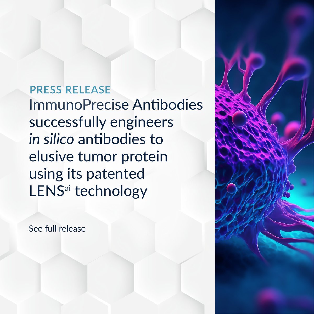 Press Release: ImmunoPrecise Antibodies successfully engineers in silico antibodies to elusive tumor protein using its patented LENSᵃⁱ™ technology. "This marks a noteworthy milestone for the biotechnology industry, demonstrating LENSᵃⁱ's ability to engineer highly specific