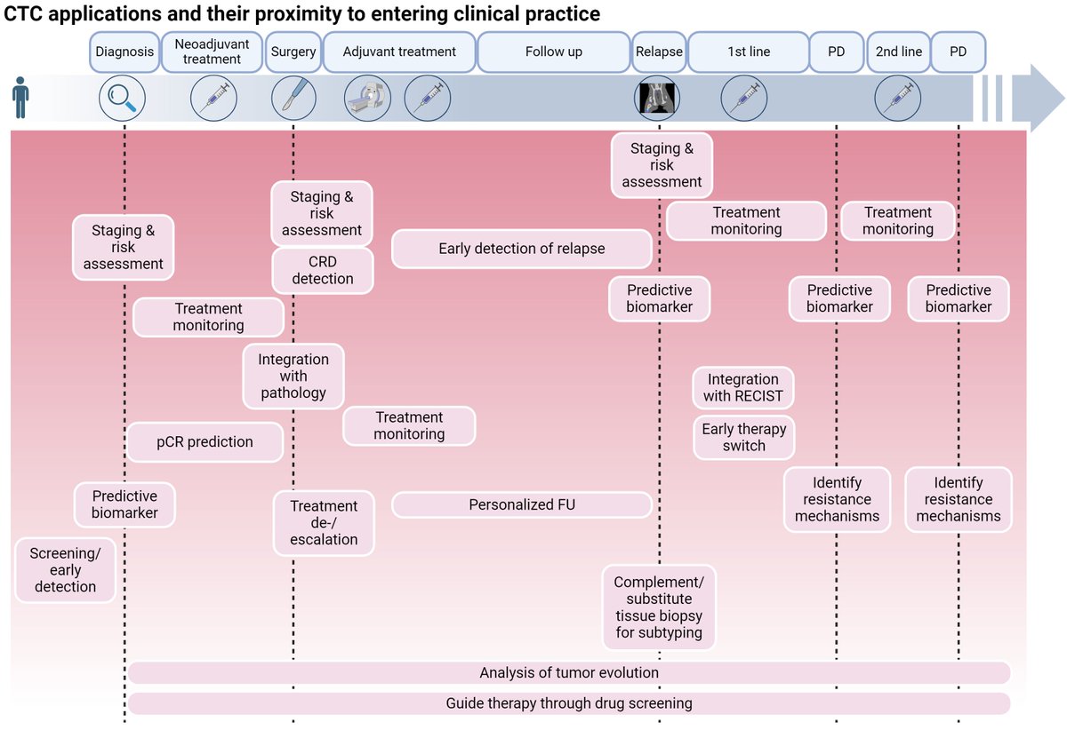 Carolina Reduzzi (@reduzzicarol) on Twitter photo Out now on <a href="/CHematology/">Critical Reviews in Oncology Hematology (CROH)</a> the <a href="/isliquidbiopsy/">International Society of Liquid Biopsy</a> review on 20 years of CTC research!
sciencedirect.com/science/articl…
@MCristofanill <a href="/ChristianRolfo/">Christian Rolfo</a> <a href="/MJOSESERRANO19/">M JOSE SERRANO Lab (LB&Cancer Interception group)</a> <a href="/drgandara/">David Gandara</a> <a href="/UmbertoMalapel1/">Umberto Malapelle</a> @NicolaFuscoMD <a href="/AngeloDipa_/">Angelo Dipasquale</a> Out now on <a href="/CHematology/">Critical Reviews in Oncology Hematology (CROH)</a> the <a href="/isliquidbiopsy/">International Society of Liquid Biopsy</a> review on 20 years of CTC research!
sciencedirect.com/science/articl…
@MCristofanill <a href="/ChristianRolfo/">Christian Rolfo</a> <a href="/MJOSESERRANO19/">M JOSE SERRANO Lab (LB&Cancer Interception group)</a> <a href="/drgandara/">David Gandara</a> <a href="/UmbertoMalapel1/">Umberto Malapelle</a> @NicolaFuscoMD <a href="/AngeloDipa_/">Angelo Dipasquale</a>