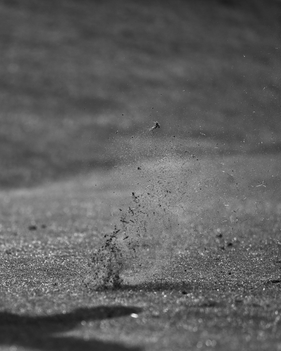St Andrews Links tweet media