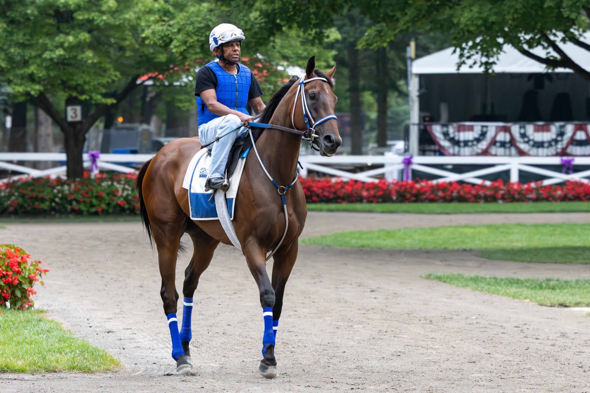 EclipseSports's tweet photo. THORPEDO ANNA looks locked and loaded as she completed her final preparations over the weekend for Saturday's Travers Stakes at Saratoga Race Course. #Traversweek
๐ธ Gary Johnson https://t.co/qkmR6HLFS4