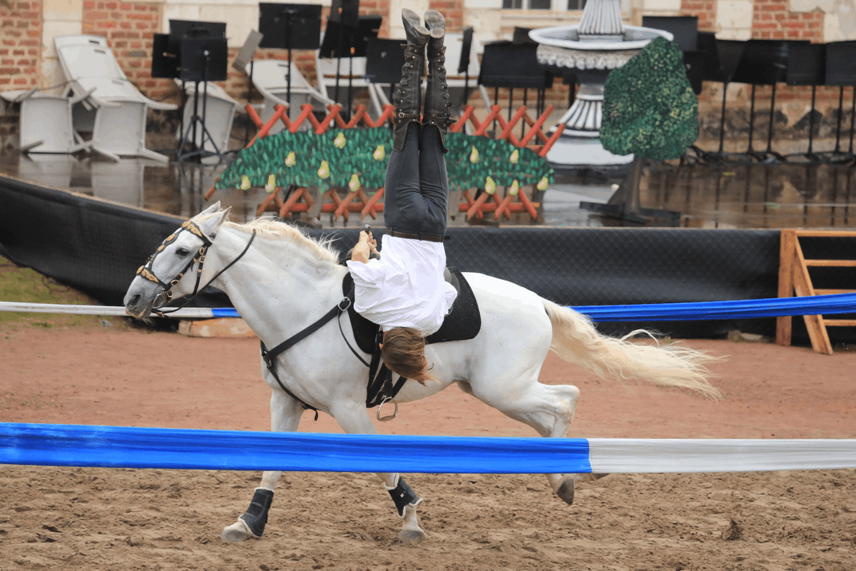 VilleArras's tweet photo. [Spectacle Vauban] 🐎 Le spectacle organisé par Artois Culture Nature retraçant l’histoire du marquis de Vauban et de la Citadelle d’Arras était au programme ce week-end et quelle réussite !

😁 Découvrez le spectacle en images

📸 Ville d'Arras - Julien Mellin 

#Arras https://t.co/4K9RjsSayB